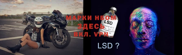 молекула духа Богородицк