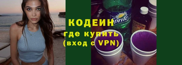 молекула духа Богородицк