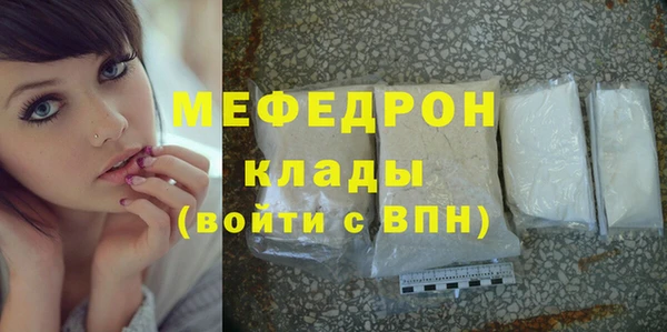 молекула духа Богородицк