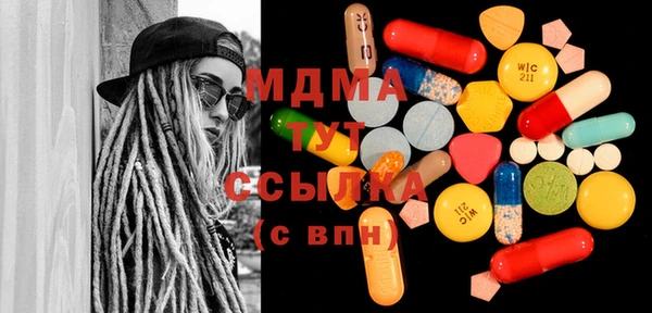 молекула духа Богородицк