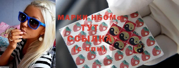 молекула духа Богородицк