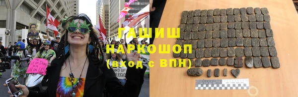 молекула духа Богородицк