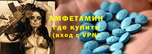 молекула духа Богородицк